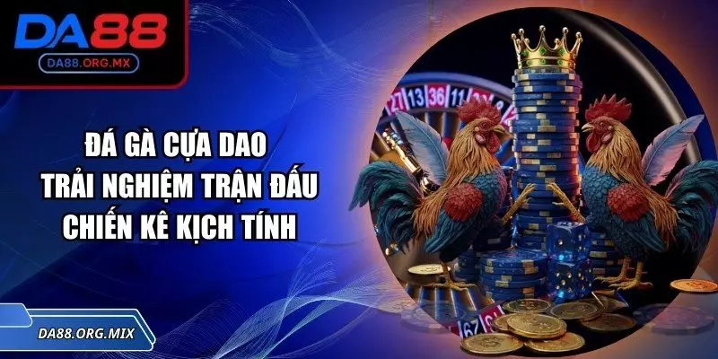 Đá gà cựa dao