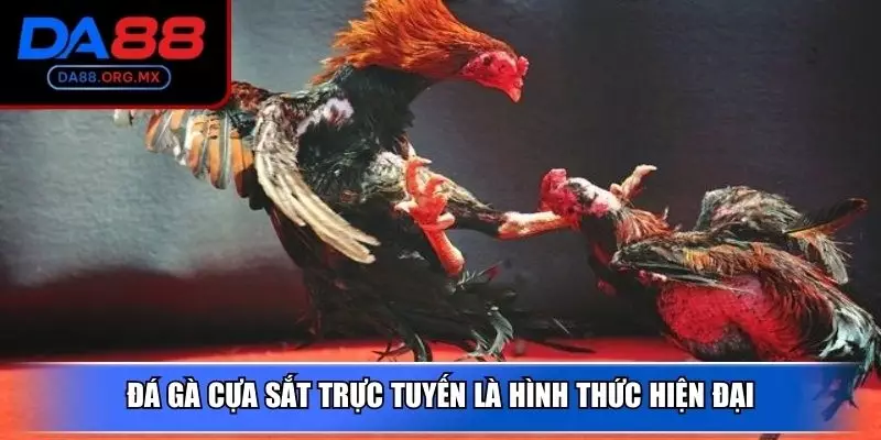 Đá gà cựa sắt trực tuyến là hình thức hiện đại, kịch tính