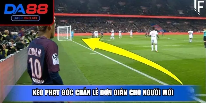 Kèo phạt góc chẵn lẻ đơn giản cho người mới